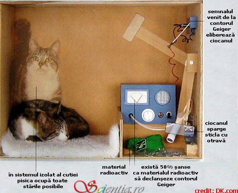 Pisica lui Schrödinger: Paradoxul și mecanica cuantică