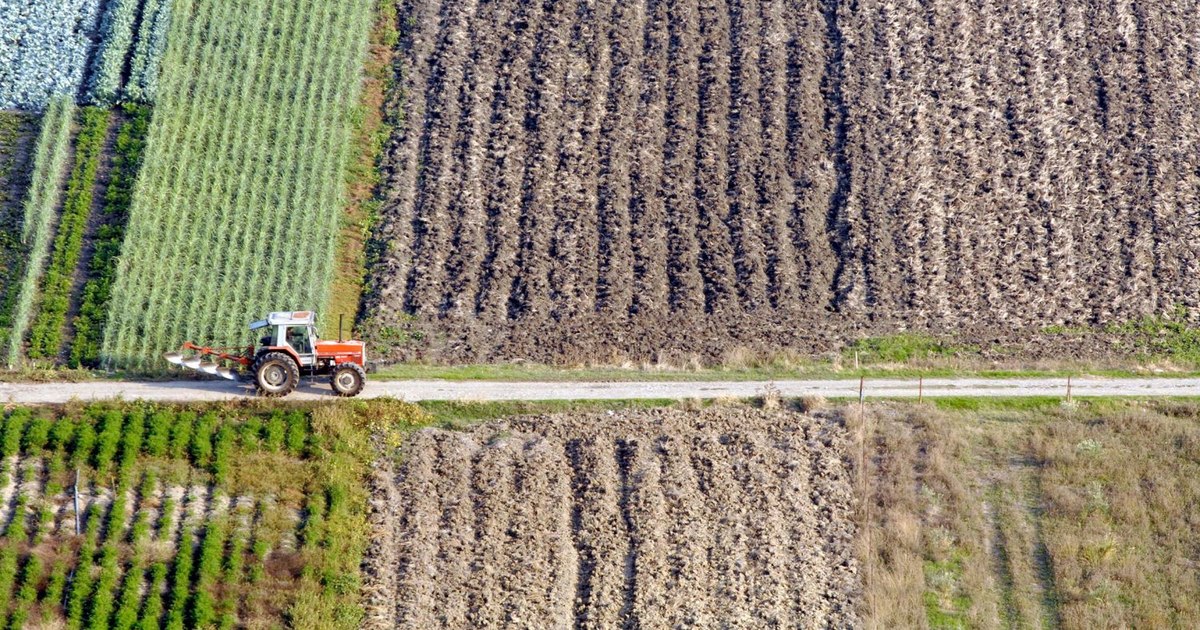 Cum a fraudat Grecia Uniunea Europeană. Zeci de fermieri au câștigat milioane de euro pentru terenuri pe care nu le dețineau și nu le lucrau Cum a fraudat Grecia Uniunea Europeană. Zeci de fermieri au câștigat milioane de euro pentru terenuri pe care nu le dețineau și nu le lucrau