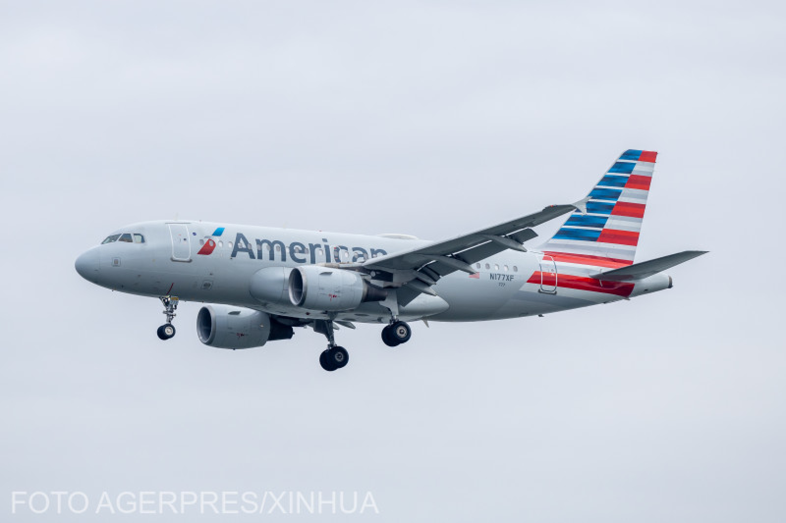 Povestea patinatorului care trebuia să zboare în avionul prăbușit la Washington, dar a fost salvat de faptul că avea cu el un câine prea mare Povestea patinatorului care trebuia să zboare în avionul prăbușit la Washington, dar a fost salvat de faptul că avea cu el un câine prea mare