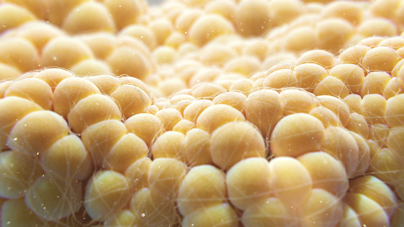 Oamenii de ştiinţă au găsit o modalitate de a „înfometa” cancerul folosind celulele de grăsime