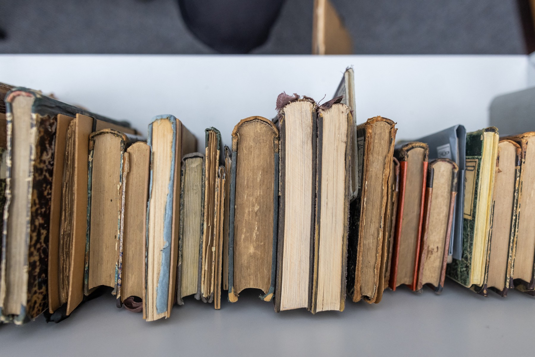 Carte returnată după 106 ani bibliotecii de la care fusese împrumutată în timpul Războiului Civil din Rusia