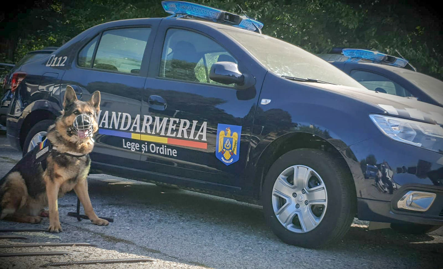 Un bărbat a provocat haos la Palatul Parlamentului: „Stegarul dac” a escaladat gardul și a primit o amendă usturătoare Un bărbat a provocat haos la Palatul Parlamentului: „Stegarul dac” a escaladat gardul și a primit o amendă usturătoare