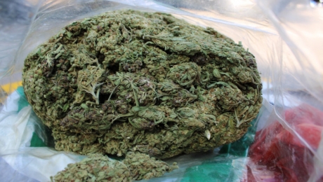 Traficant de droguri reținut la Arad. A încercat să vândă peste 7 kilograme de canabis Traficant de droguri reținut la Arad. A încercat să vândă peste 7 kilograme de canabis