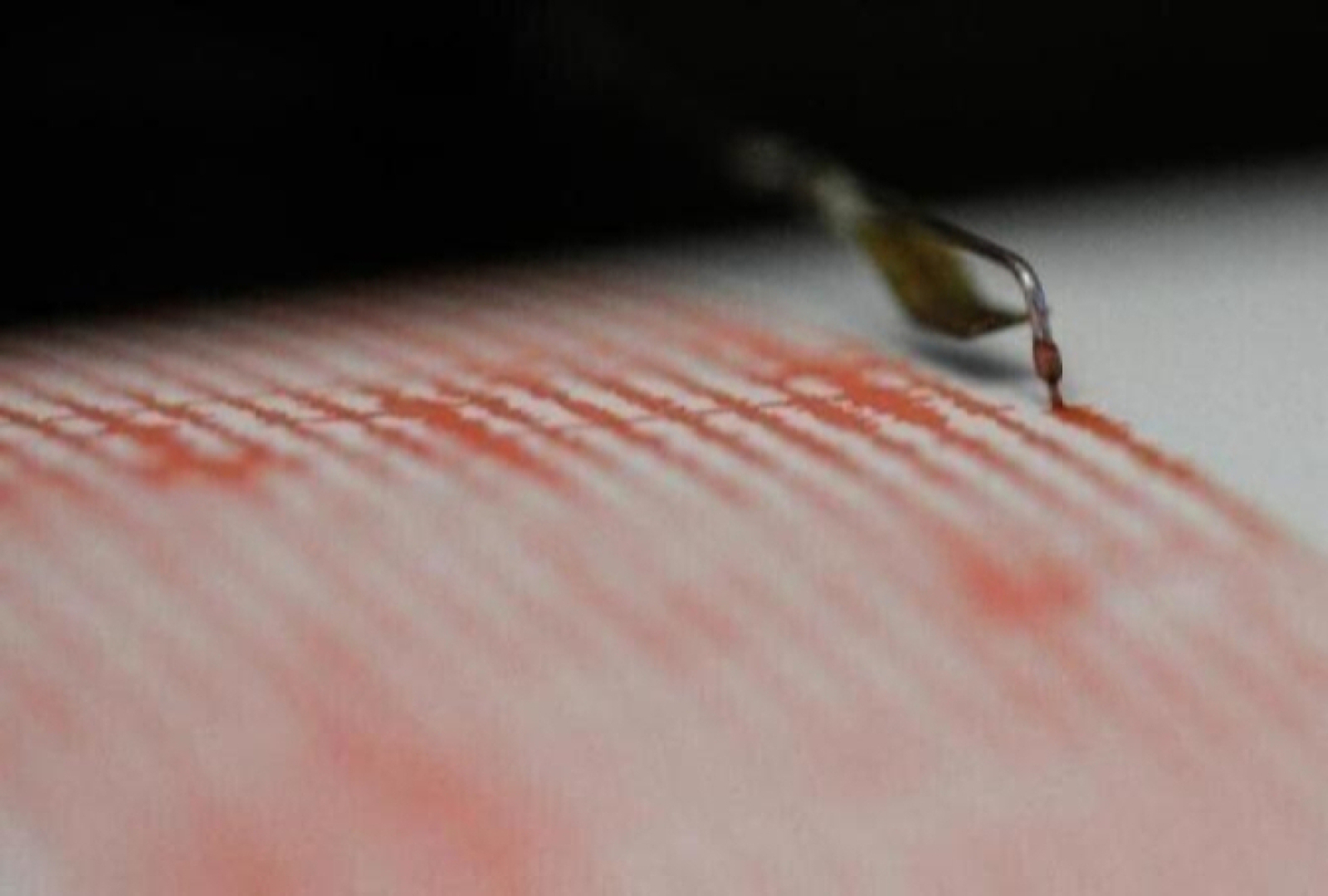 Cutremur în România duminică seara