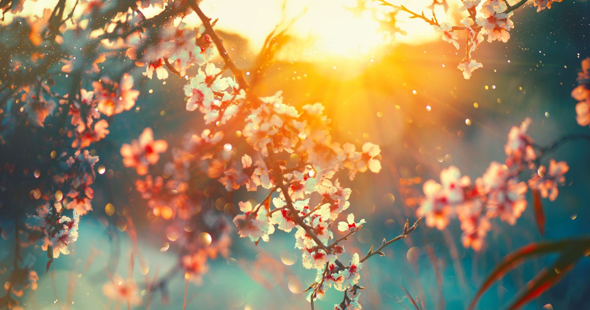 Cum va fi vremea în următoarele patru săptămâni. Unde și când sunt așteptate ploi