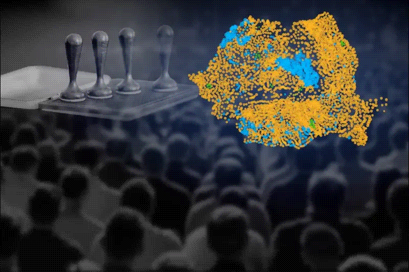 INTERACTIV Voturile din turul 1, explicate prin venituri impozitate, posibilitățile de angajare și fondurile europene atrase. Cum s-au diferențiat victoriile lui Simon de cele ale lui Nicușor Dan INTERACTIV Voturile din turul 1, explicate prin venituri impozitate, posibilitățile de angajare și fondurile europene atrase. Cum s-au diferențiat victoriile lui Simon de cele ale lui Nicușor Dan