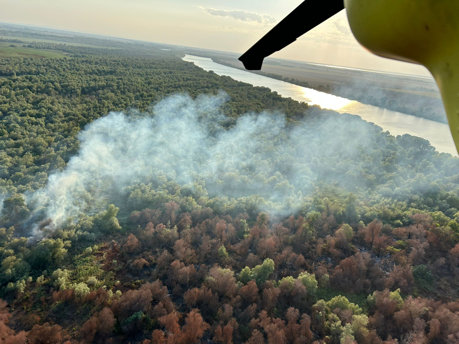 Incendiu de vegetație la Chilia Veche. Elicopterul Black Hawk, trimis să intervină Incendiu de vegetație la Chilia Veche. Elicopterul Black Hawk, trimis să intervină