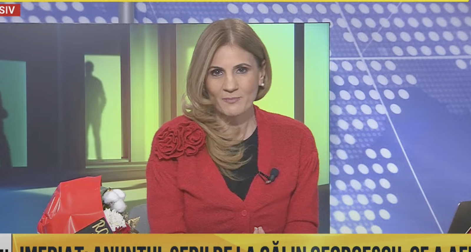 Anca Alexandrescu vrea să candideze la Primăria Capitalei Anca Alexandrescu vrea să candideze la Primăria Capitalei