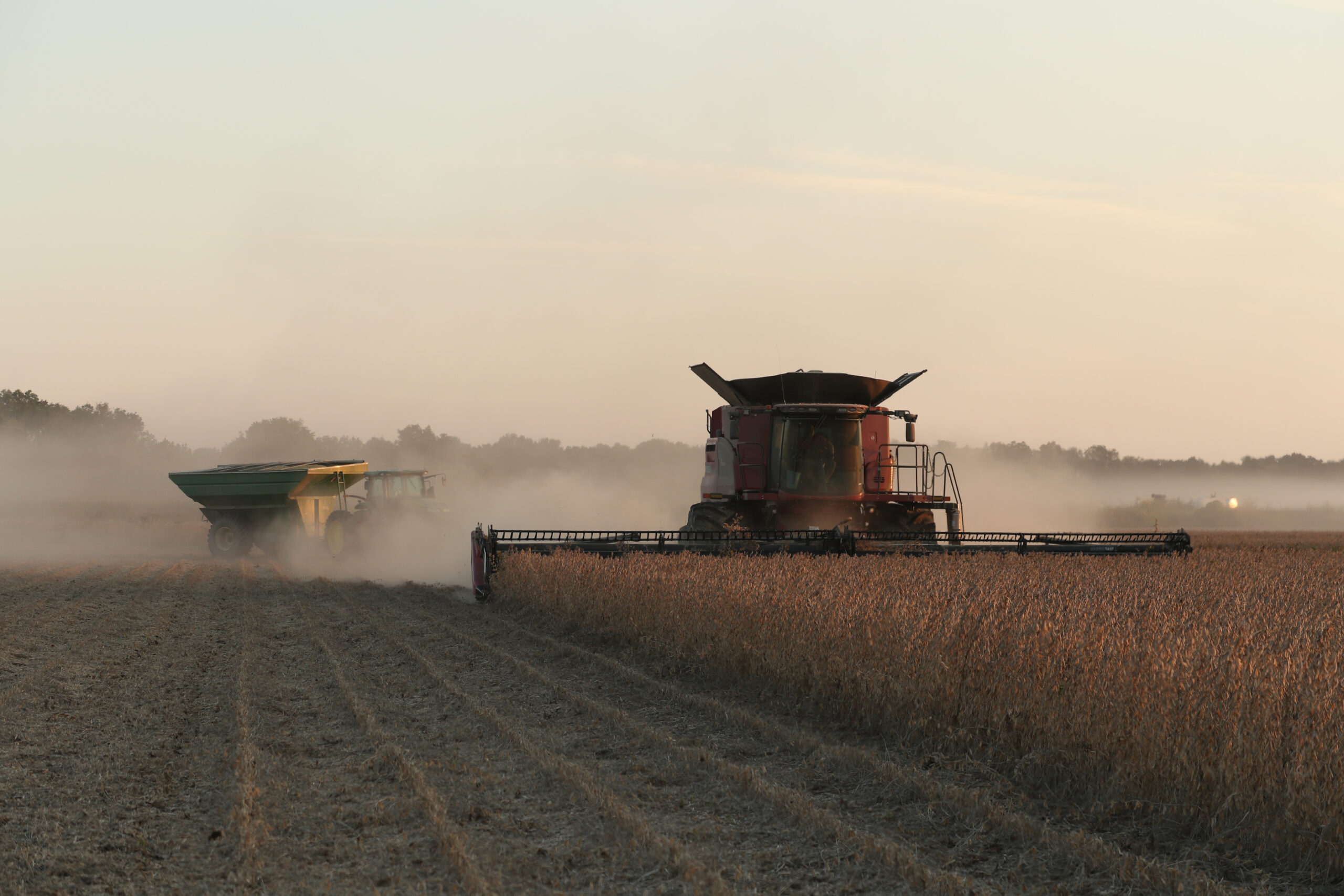 Cum au ajuns fermierii din California să pledeze pentru tehnologia AI. „O să fie o problemă din ce în ce mai mare”