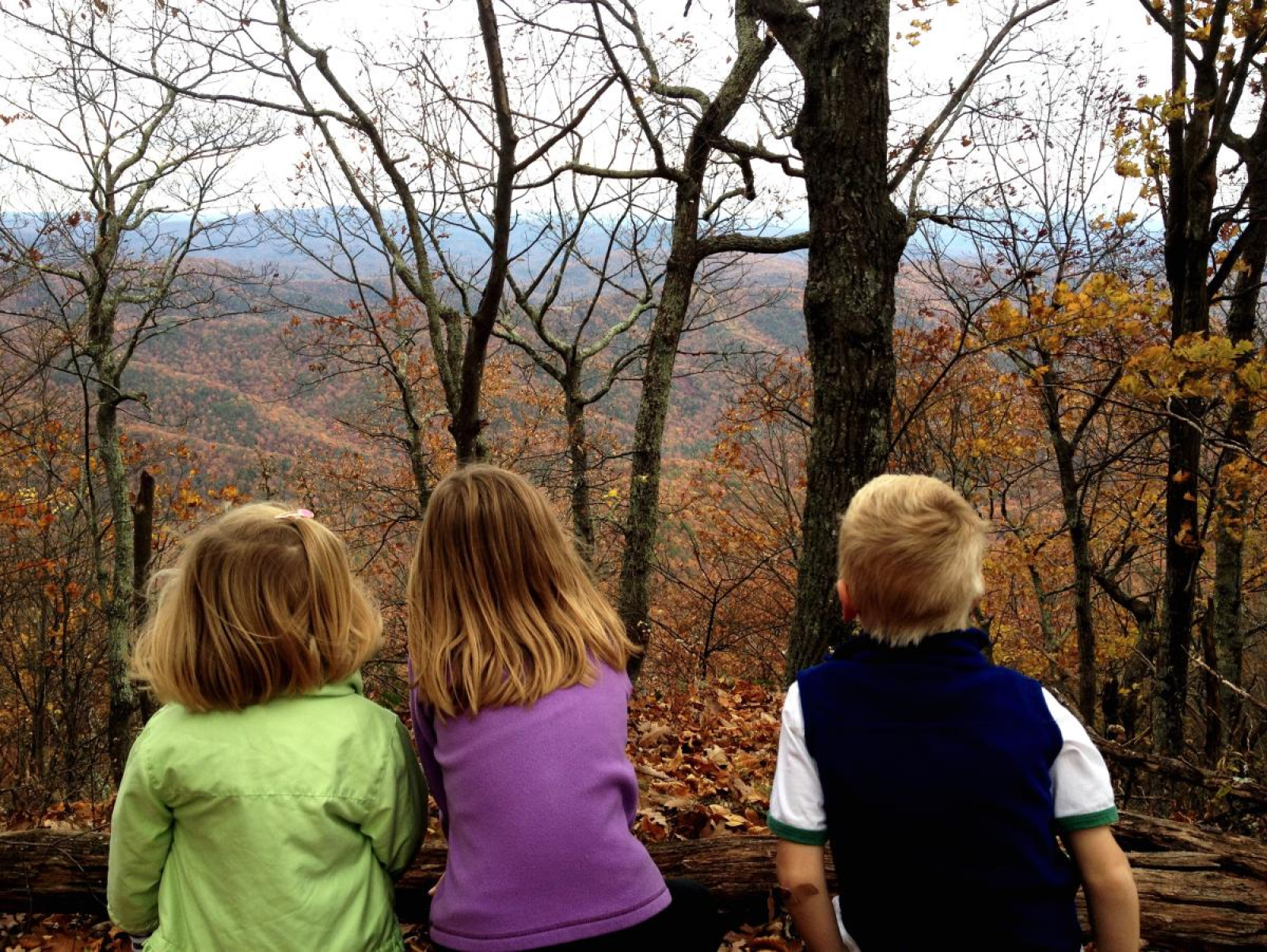 „Copiii cu dublă identitate” din diaspora. Luiza Dinică Diculescu: „Se rușinează să vorbească limba română pentru că `cineva` s-a străduit foarte mult să își critice țara” / VIDEO