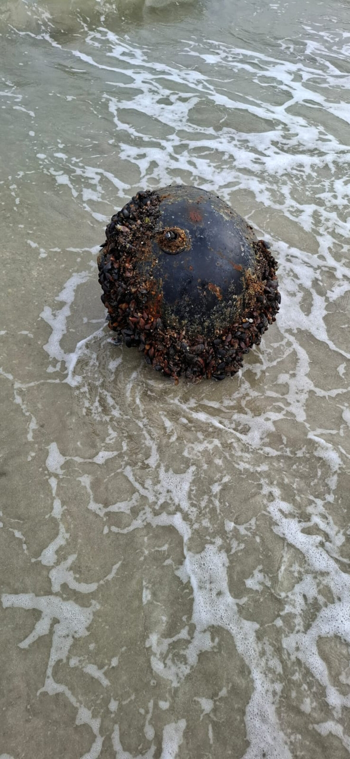 Mina marină descoperită la Vadu a fost neutralizată