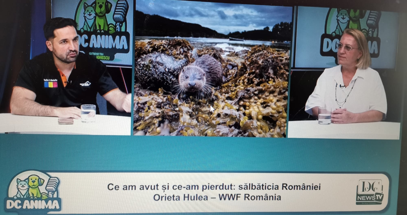 Sălbăticia pierdută a României. Orieta Hulea, directoarea WWF-România, la DC Anima