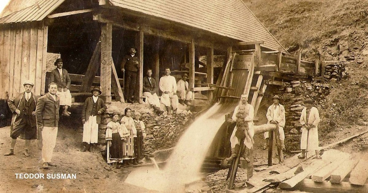 Teodor Șușman, eroul uitat al moților din Apuseni. Povestea tulburătoare a partizanului anti-comunist Teodor Șușman, eroul uitat al moților din Apuseni. Povestea tulburătoare a partizanului anti-comunist