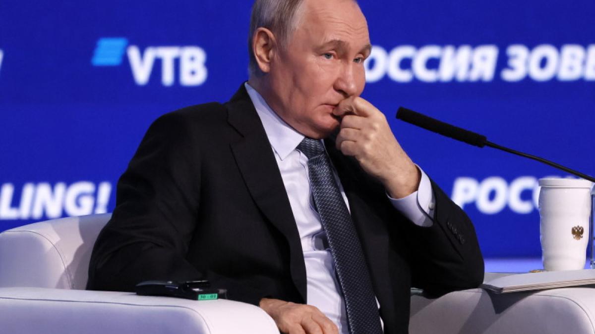 Putin s-a aprins după declarațiile lui Nicușor Dan: Georgescu „nu poate fi interzis” Putin s-a aprins după declarațiile lui Nicușor Dan: Georgescu „nu poate fi interzis”