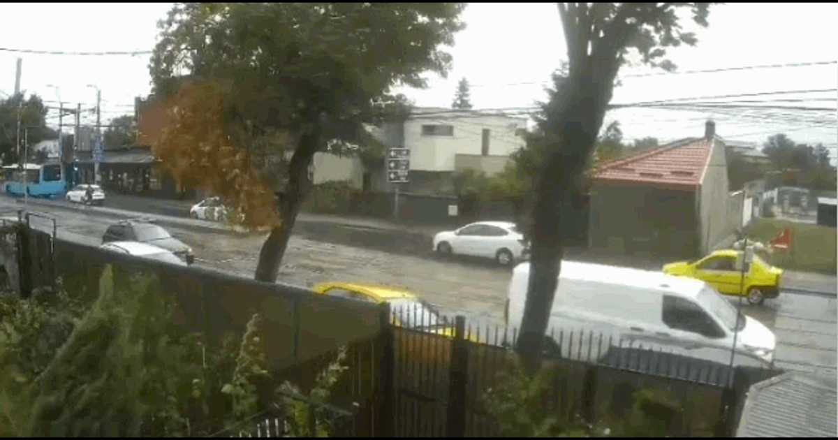 Un copac a căzut peste o mașină în mers, în Capitală. Momentul, surprins de camerele de supraveghere Un copac a căzut peste o mașină în mers, în Capitală. Momentul, surprins de camerele de supraveghere