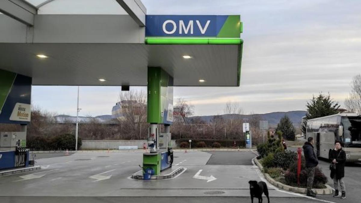 Alimentând la OMV, plătiți facturile austriecilor la energie: Subvenții de 500 mil. euro, din participațiile la companii Alimentând la OMV, plătiți facturile austriecilor la energie: Subvenții de 500 mil. euro, din participațiile la companii