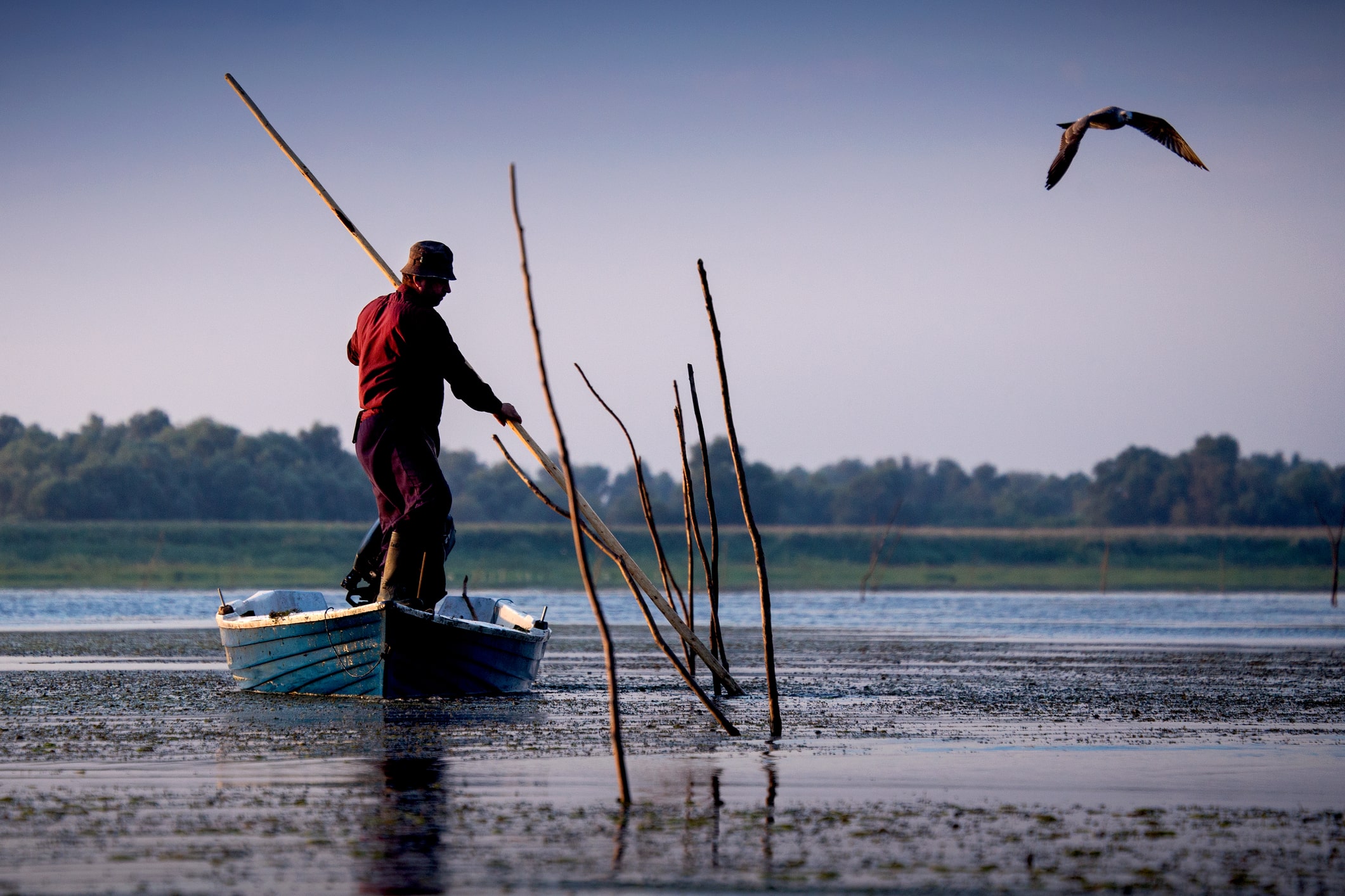 Un „colț de paradis” în agonie: Un mare ziar european scrie despre problemele din Delta Dunării despre care în România nu se vorbește aproape deloc Un „colț de paradis” în agonie: Un mare ziar european scrie despre problemele din Delta Dunării despre care în România nu se vorbește aproape deloc