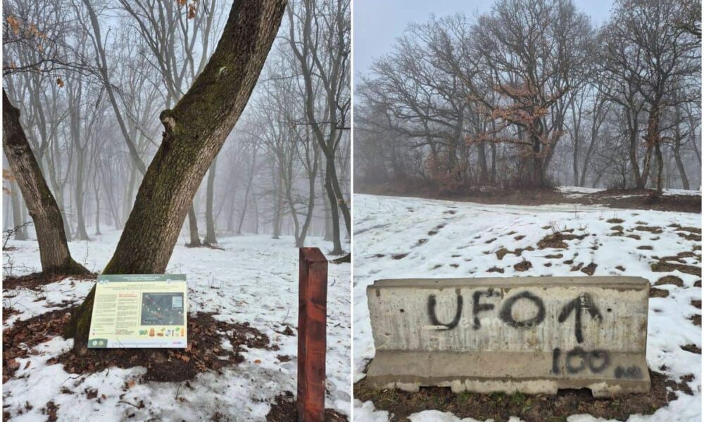 Adrian Dohotaru cere explicații Primăriei Cluj-Napoca privind protecția pădurii Hoia: Nu se respectă angajamente precedente Adrian Dohotaru cere explicații Primăriei Cluj-Napoca privind protecția pădurii Hoia: Nu se respectă angajamente precedente