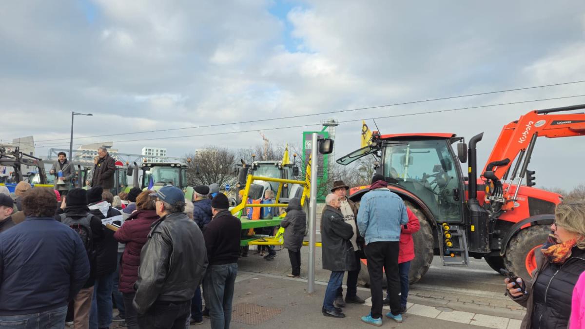 Proteste masive ale fermierilor în Franța. Ce spun oamenii din stradă Proteste masive ale fermierilor în Franța. Ce spun oamenii din stradă