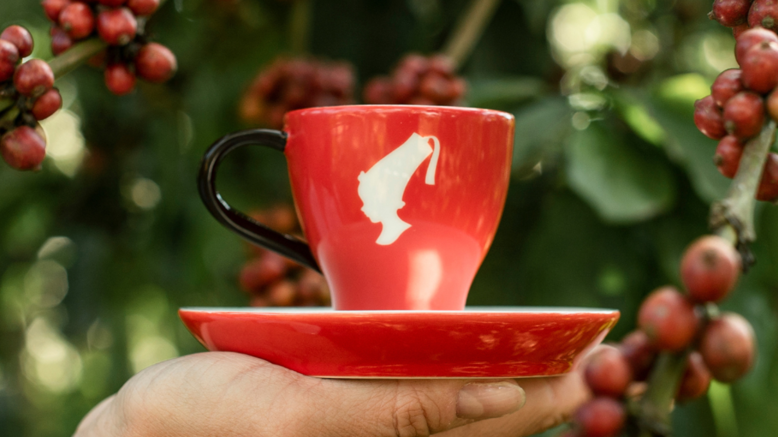 Cafeaua Julius Meinl: gust desăvârșit, obținut cu grijă pentru oameni și planetă Cafeaua Julius Meinl: gust desăvârșit, obținut cu grijă pentru oameni și planetă