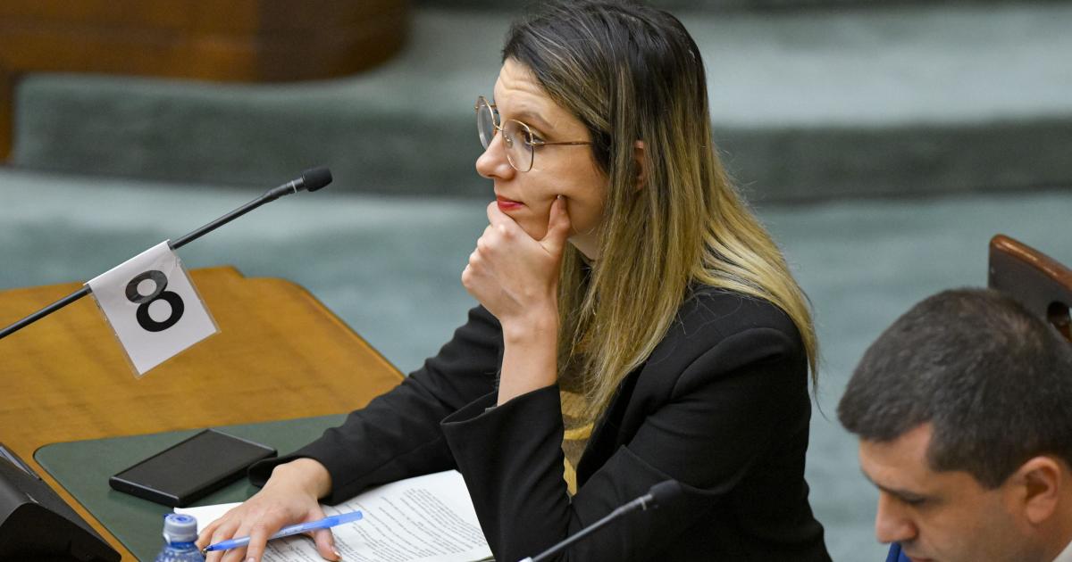 Diana Buzoianu, chemată la „Ora Guvernului” să explice blocajul de la barajul Mihăileni Diana Buzoianu, chemată la „Ora Guvernului” să explice blocajul de la barajul Mihăileni