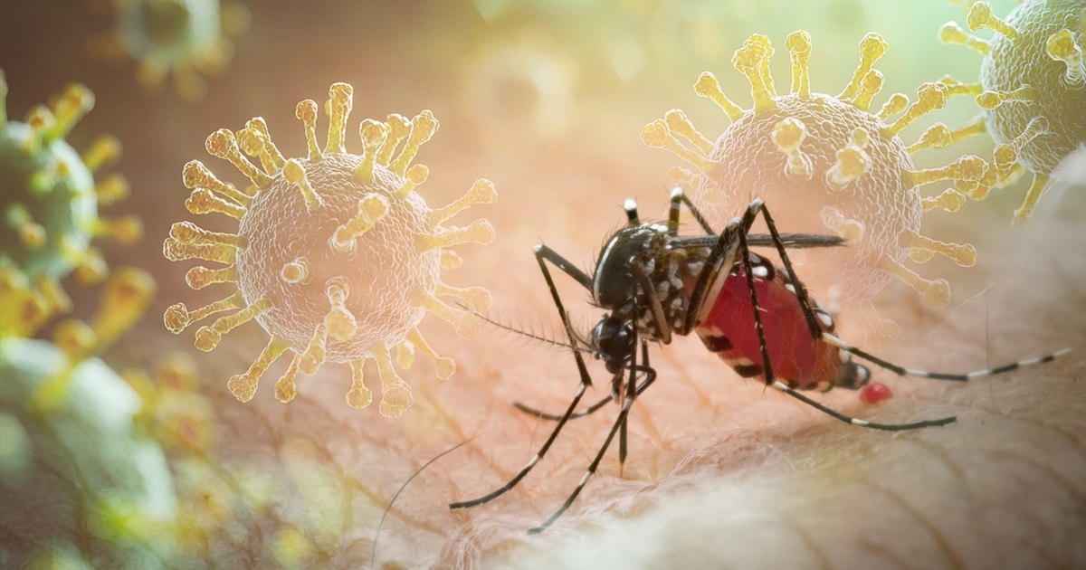 Un virus extrem de periculos a ajuns în România. Chikungunya este transmis de țânțari. Care sunt simptomele Un virus extrem de periculos a ajuns în România. Chikungunya este transmis de țânțari. Care sunt simptomele