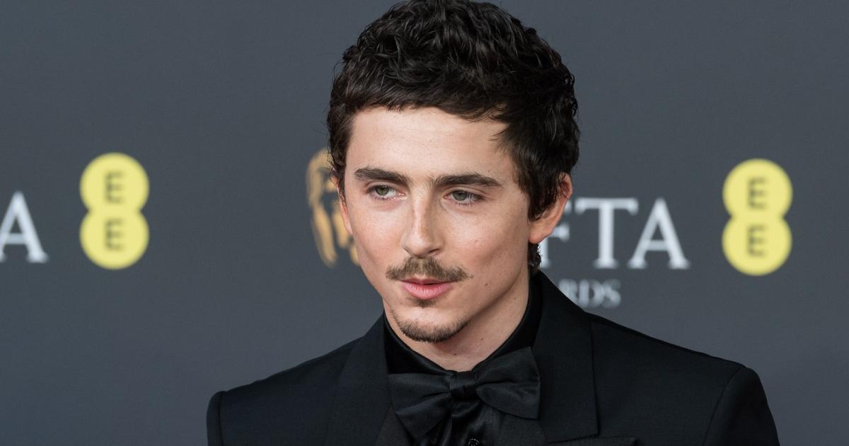 Replica actorului Timothée Chalamet, care a aprins spiritele în lumea spectacolului Replica actorului Timothée Chalamet, care a aprins spiritele în lumea spectacolului