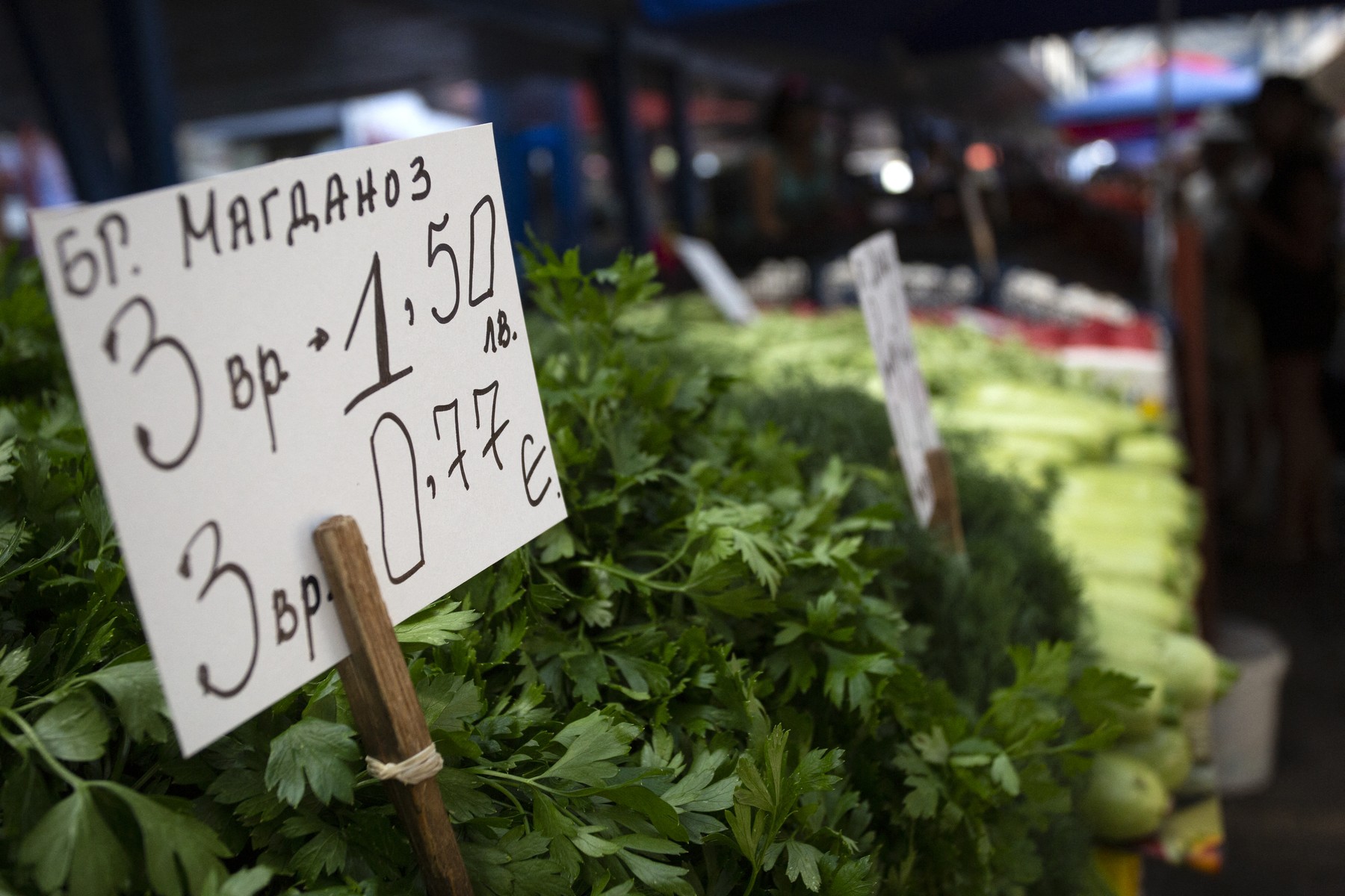 De la leva la euro – ce s-a întâmplat în prima lună? De la leva la euro – ce s-a întâmplat în prima lună?