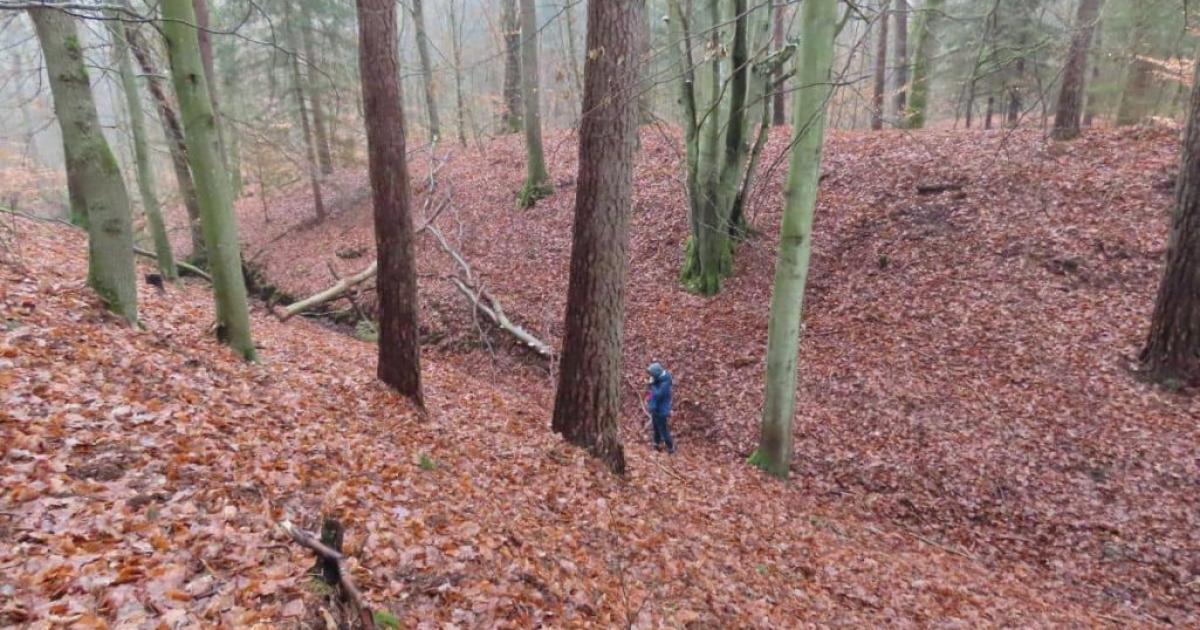 Oraș medieval pierdut, redescoperit într-o pădure: monede, unelte și arme de acum 1.000 de ani Oraș medieval pierdut, redescoperit într-o pădure: monede, unelte și arme de acum 1.000 de ani