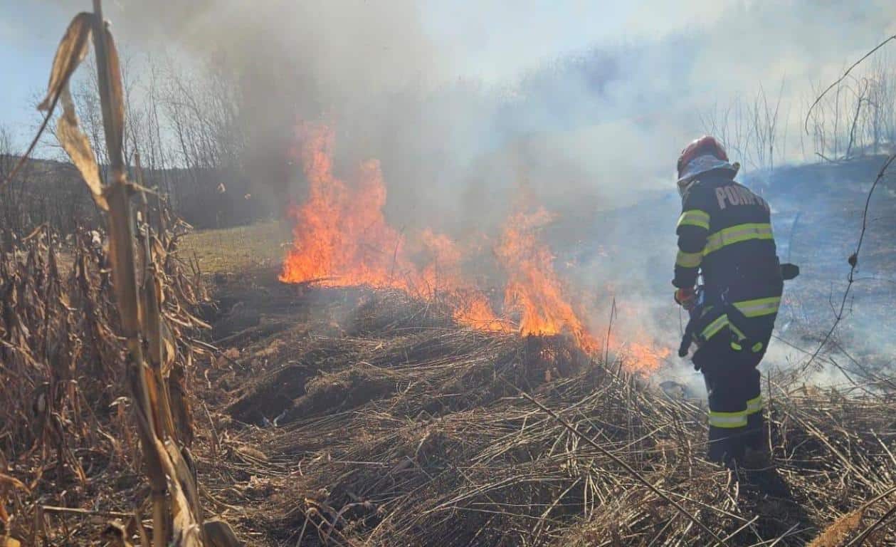 Măsuri în cazul incendiilor de vegetație din Alba: lucrătorii silvici și SVSU asigură prima intervenție. Patrule în păduri