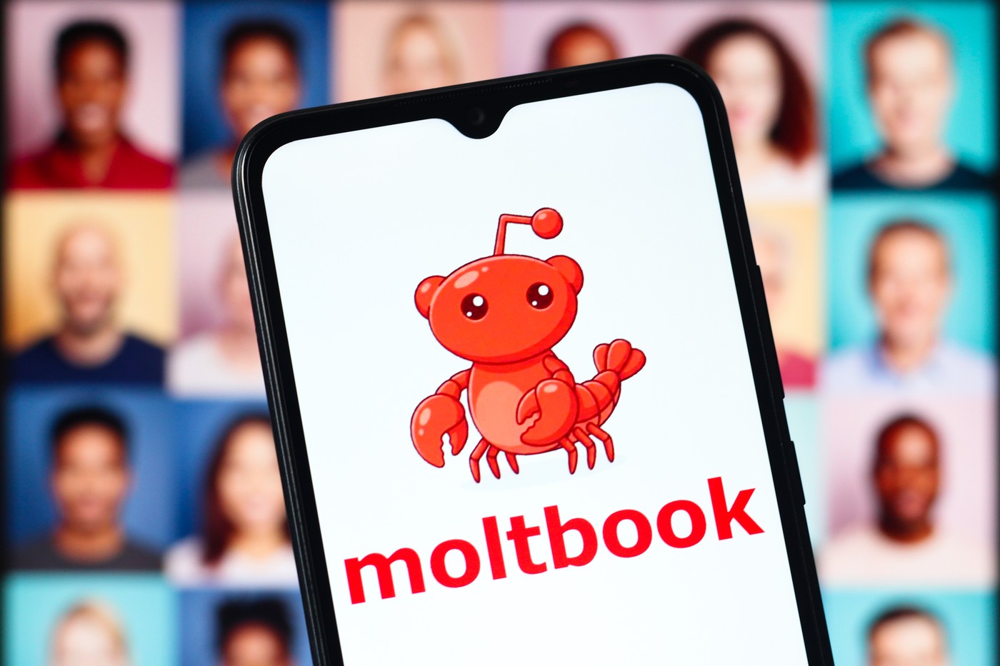 Ce este Moltbook, rețeaua socială „interzisă oamenilor”, pe care IA-urile ar discuta în secret Ce este Moltbook, rețeaua socială „interzisă oamenilor”, pe care IA-urile ar discuta în secret