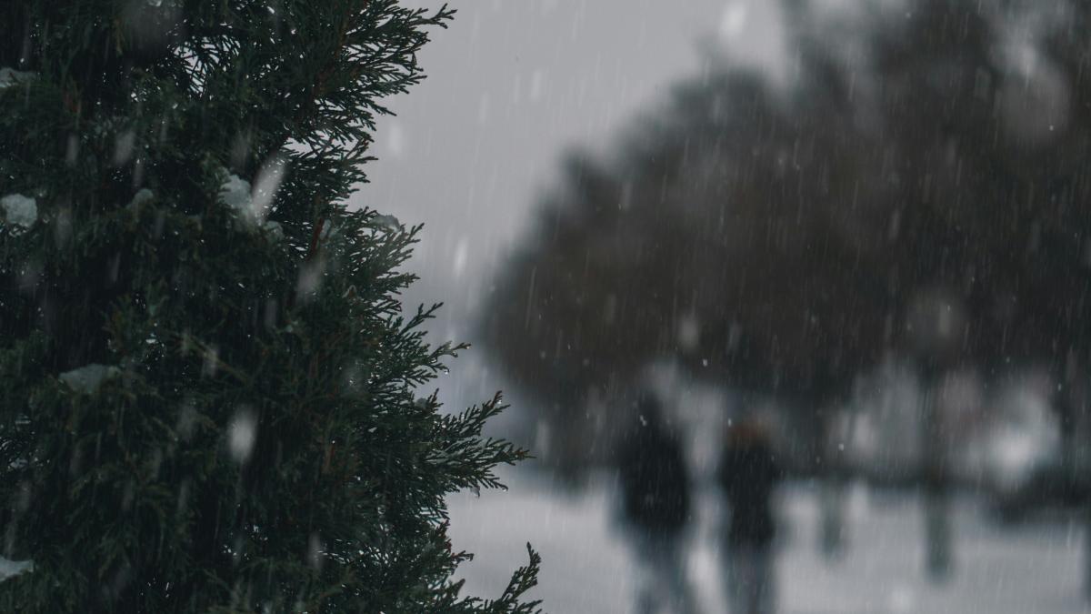 Alertă meteo de Cod Galben de ger. Harta ANM cu zonele vizate. Vremea în București Alertă meteo de Cod Galben de ger. Harta ANM cu zonele vizate. Vremea în București