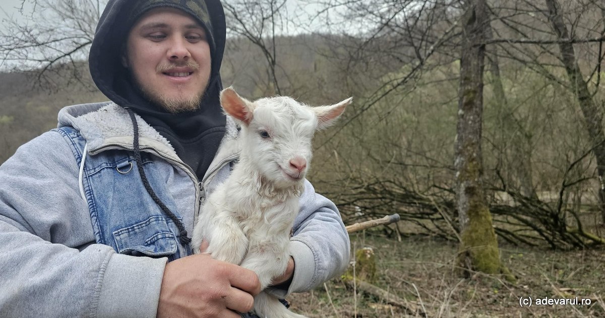 Viața în satele uitate din Munții Zarandului. „Întreg ținutul era cutreierat de cete de haiduci” Viața în satele uitate din Munții Zarandului. „Întreg ținutul era cutreierat de cete de haiduci”