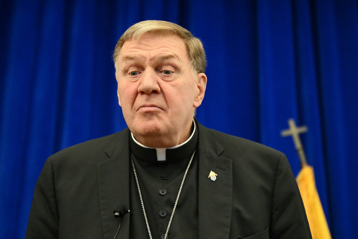 Un cardinal american cere respingerea bugetului ICE în Congresul SUA: „O organizație fără credință și fără lege” Un cardinal american cere respingerea bugetului ICE în Congresul SUA: „O organizație fără credință și fără lege”