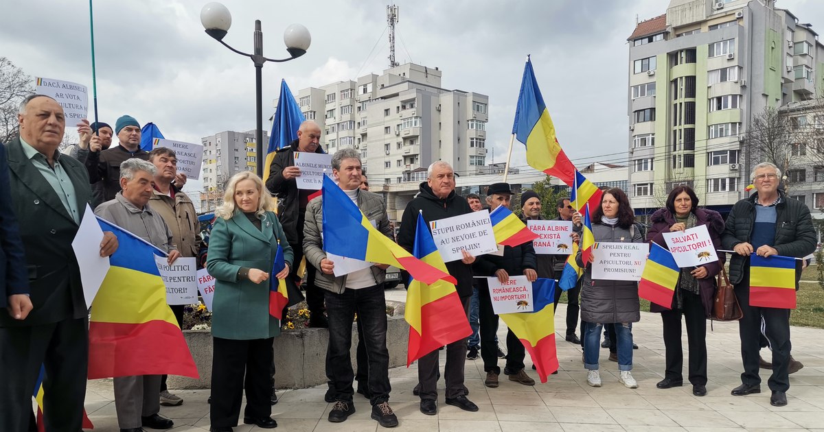 Apicultorii nu mai rabdă: „Nu se poate ca al doilea mare producător din Europa să consume 60% miere din import” Apicultorii nu mai rabdă: „Nu se poate ca al doilea mare producător din Europa să consume 60% miere din import”