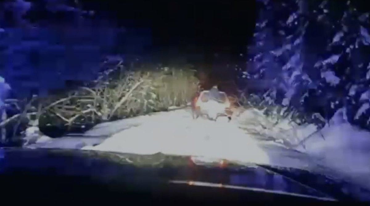 VIDEO: O familie cu trei copii a rămas înzăpezită pe un drum din Munții Apuseni. A fost salvată de jandarmii de la Arieșeni