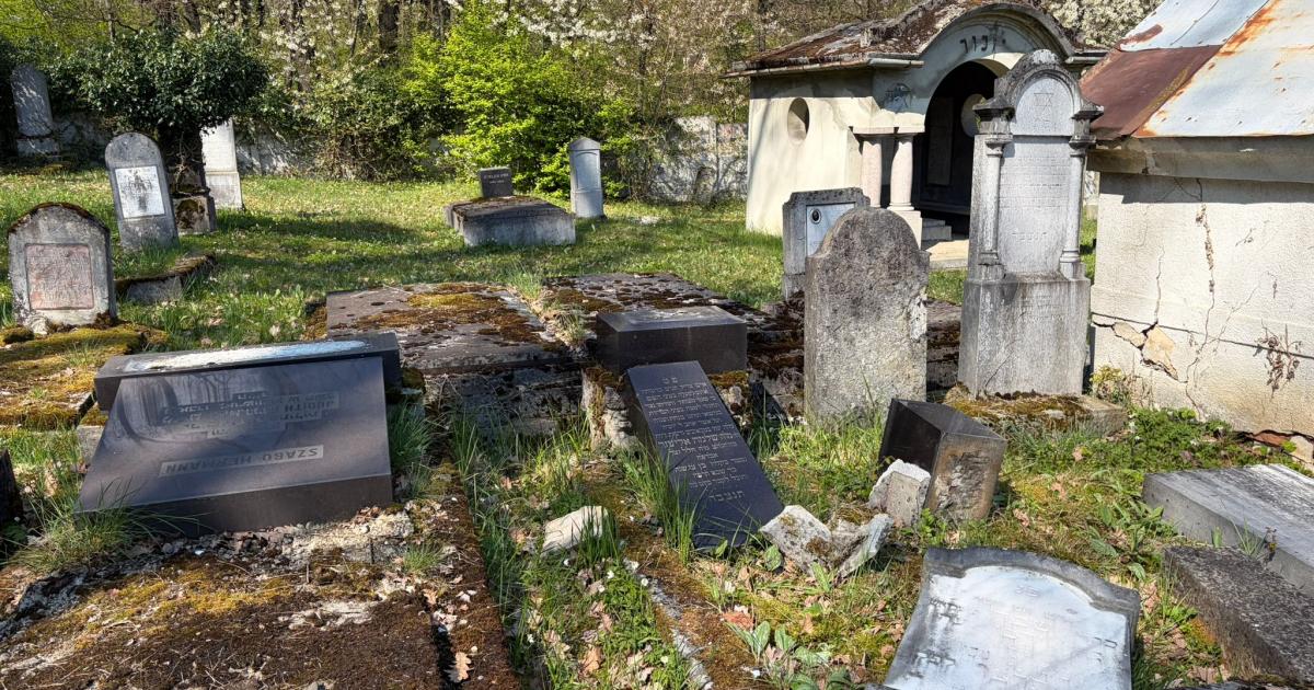 Monumente funerare răsturnate în cimitirul evreiesc din Reghin Monumente funerare răsturnate în cimitirul evreiesc din Reghin