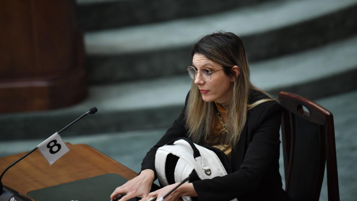 Diana Buzoianu a propus modificarea Codului penal privind hărțuirea sexuală Diana Buzoianu a propus modificarea Codului penal privind hărțuirea sexuală