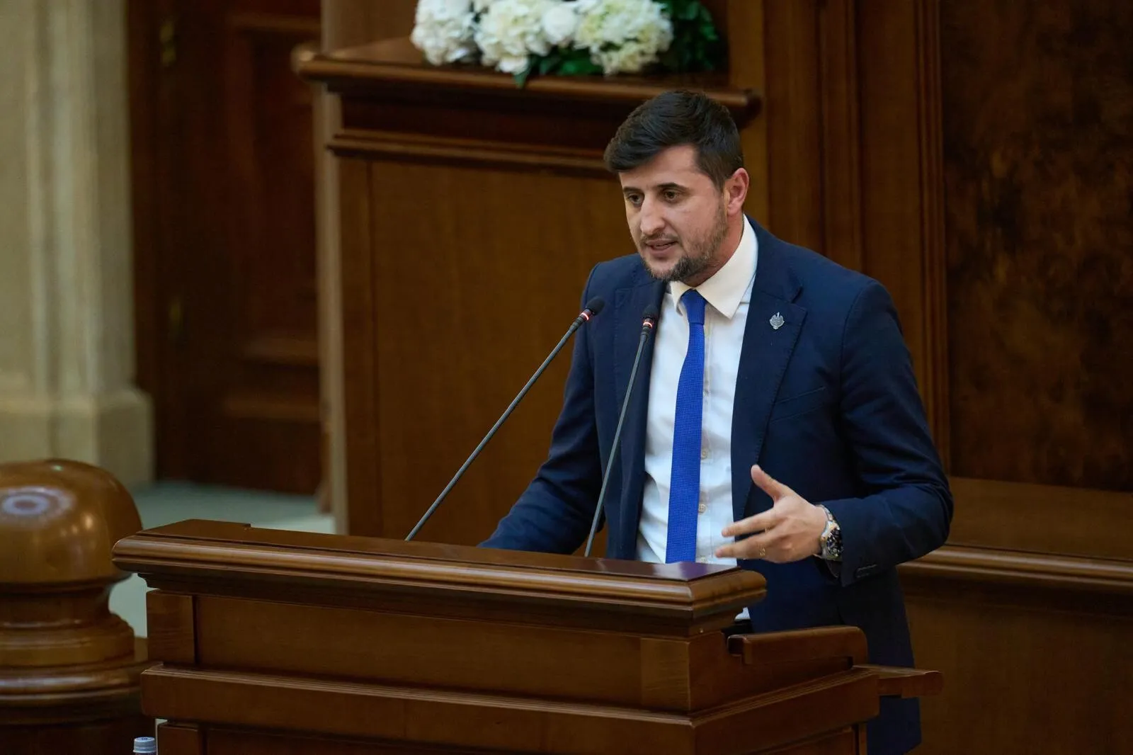 Senator PNL: România are nevoie de stabilitate, nu de „experimente politice” Senator PNL: România are nevoie de stabilitate, nu de „experimente politice”
