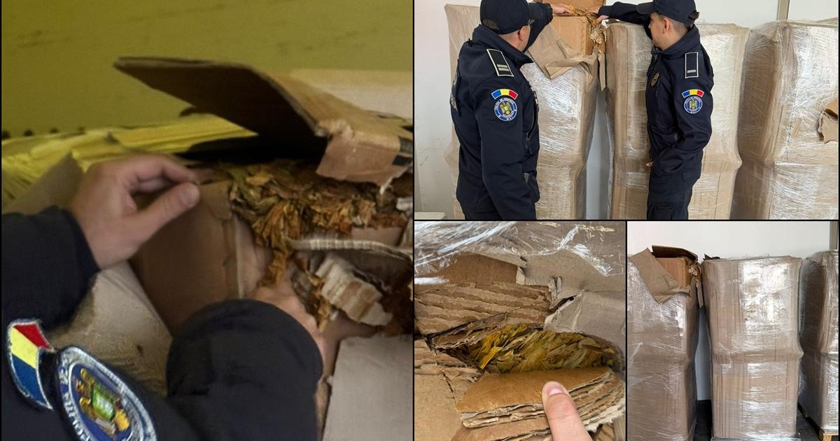 Peste o tonă de tutun ilegal, descoperită de poliţiştii de frontieră într-o dubă, la vama Giurgiu Peste o tonă de tutun ilegal, descoperită de poliţiştii de frontieră într-o dubă, la vama Giurgiu