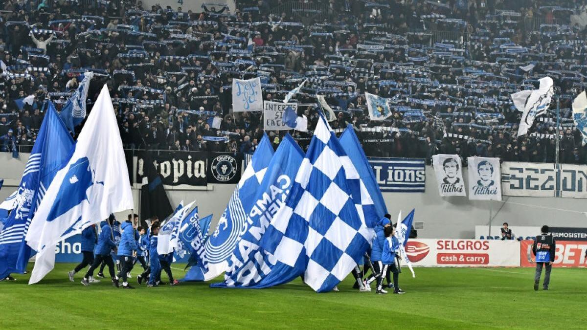 Dinamo