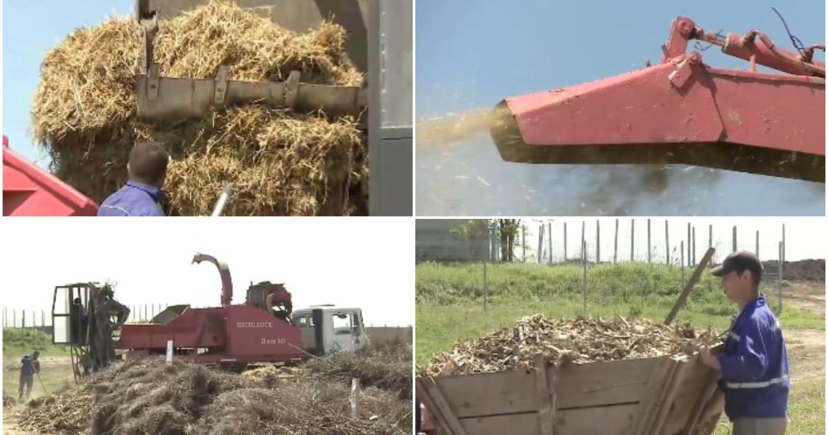 Comuna care transformă resturile vegetale din gospodării în îngrășământ natural. Localnicii fac rând la utilajul cumpărat de primărie