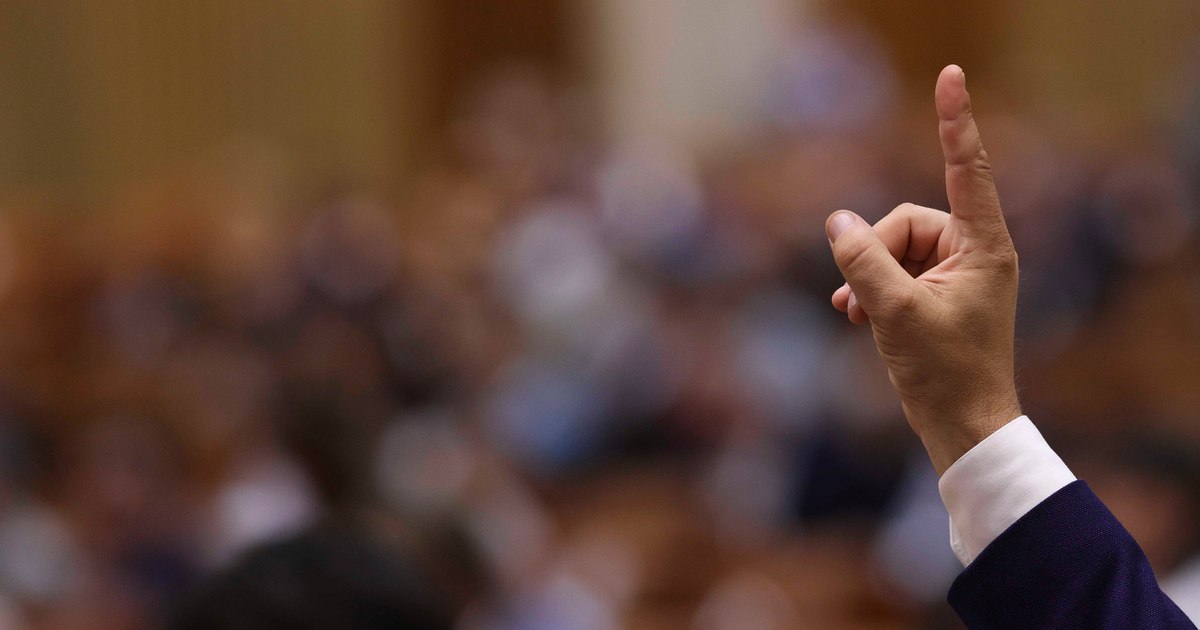Petrișor Peiu: „Este exclus ca vreun parlamentar AUR să nu voteze moțiunea”. Ce spune despre discuțiile cu liberalii