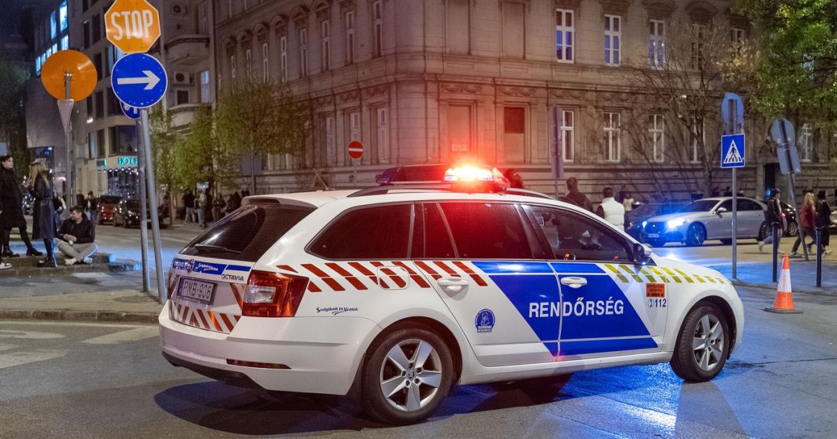 Doi români au furat mii de euro de la un şofer de TIR în Ungaria