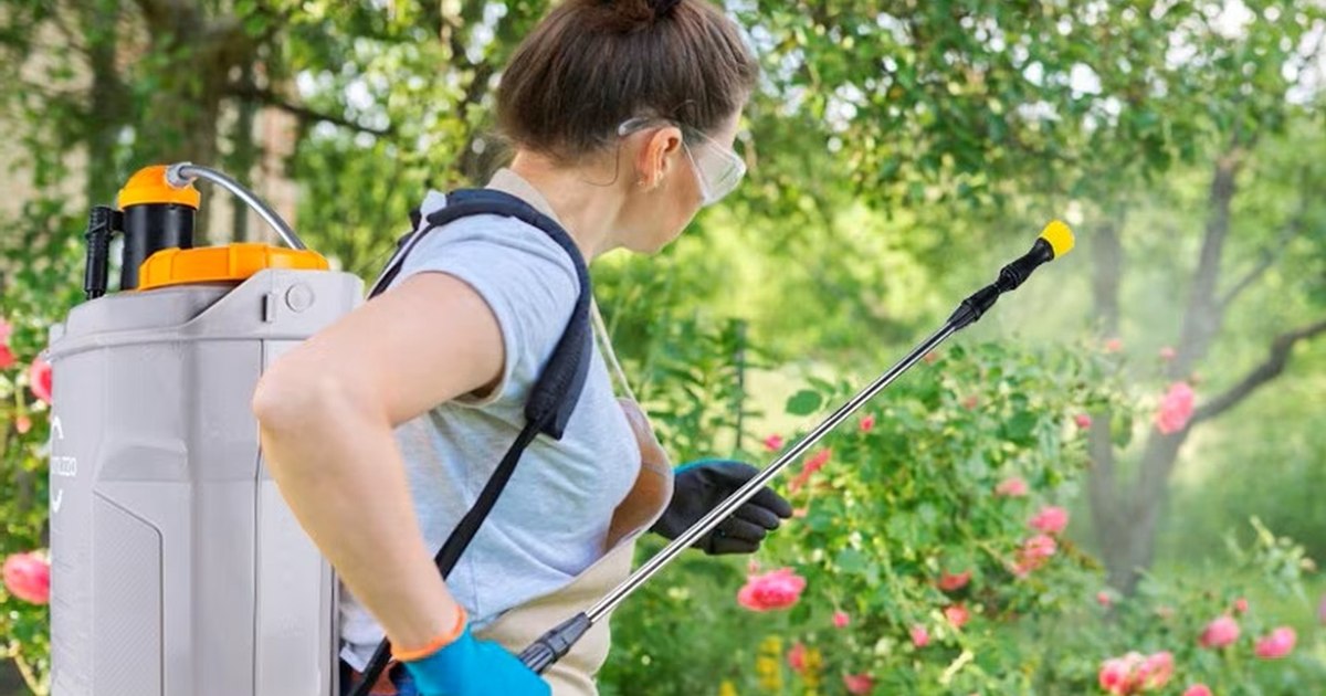 Cea mai bună pompă de stropit electrică 2026: cum alegi corect + Top 5 modele și Bonus – evită greșelile costisitoare Cea mai bună pompă de stropit electrică 2026: cum alegi corect + Top 5 modele și Bonus – evită greșelile costisitoare