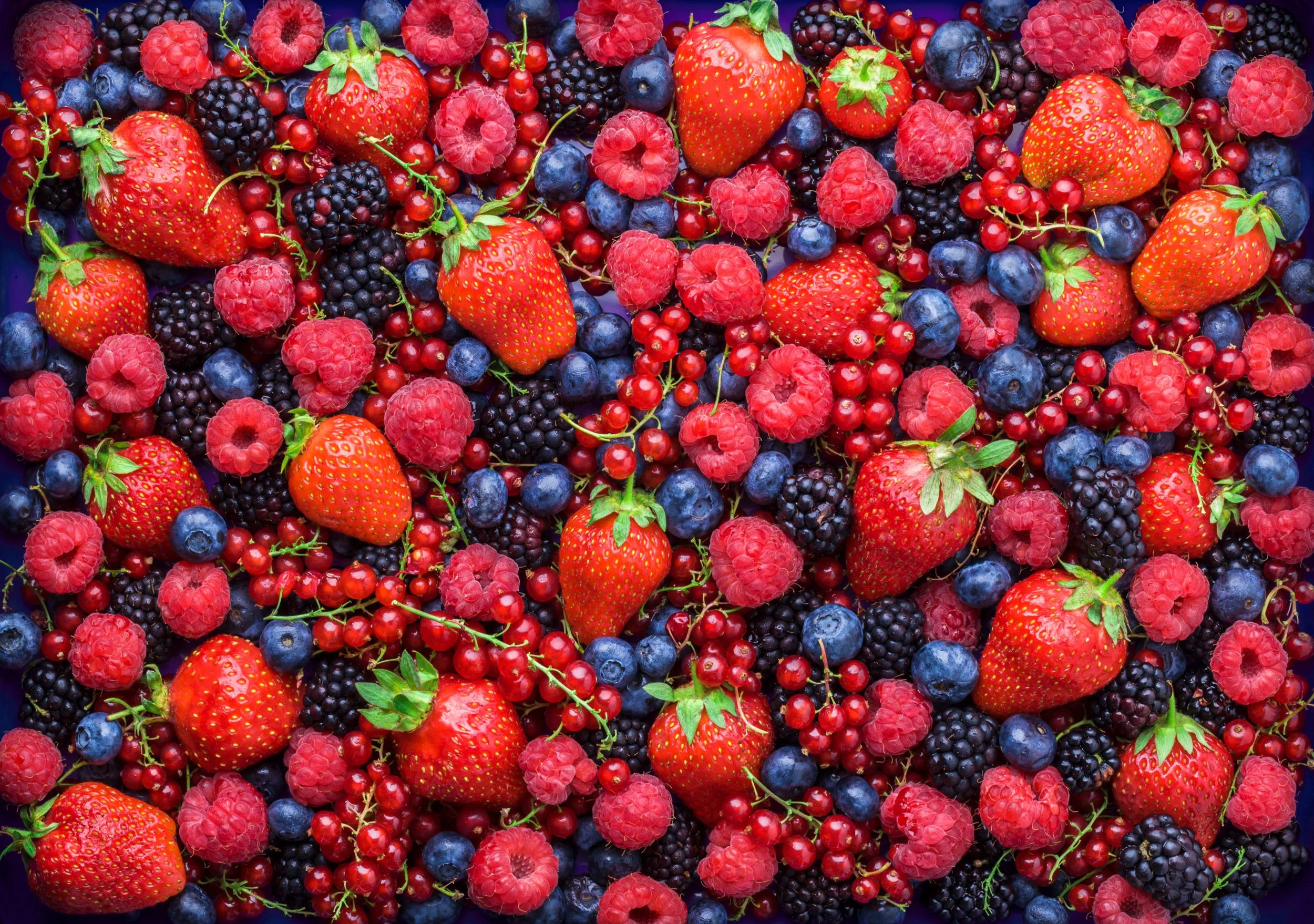 fructe de pădure