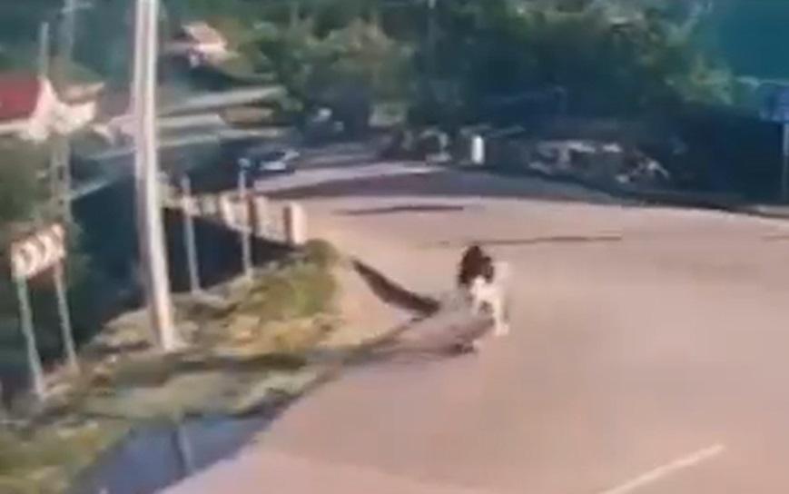 Momentul în care două fete din Sălaj, pe trotinetă, sunt spulberate de o maşină. Şoferul avea prioritate Momentul în care două fete din Sălaj, pe trotinetă, sunt spulberate de o maşină. Şoferul avea prioritate