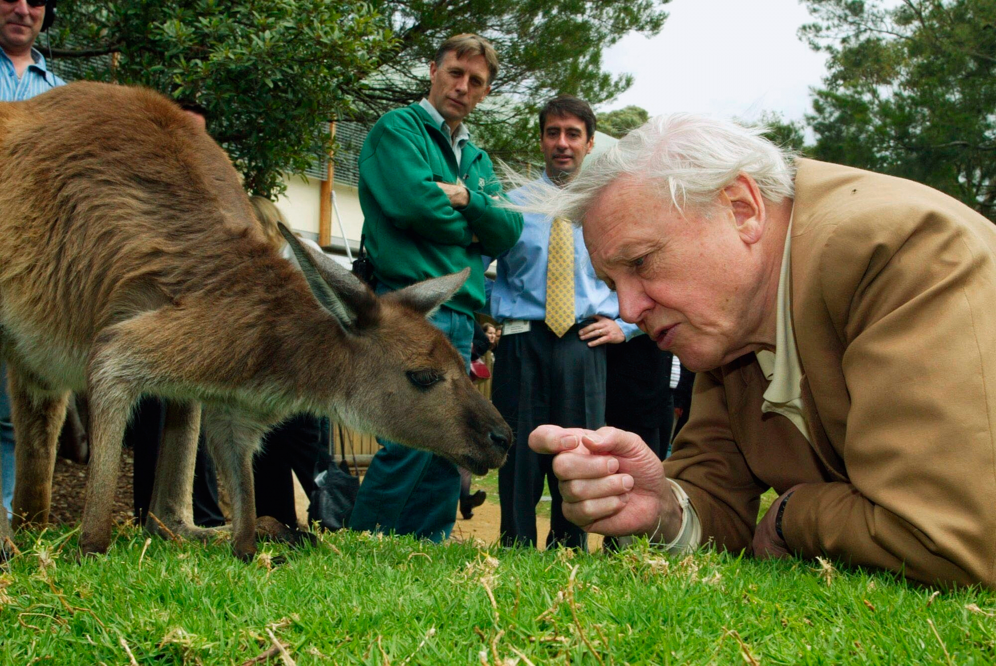 Mesajul lui Sir David Attenborough, „cel mai mare ambasador al vieții pe Pământ”, la împlinirea a 100 de ani
