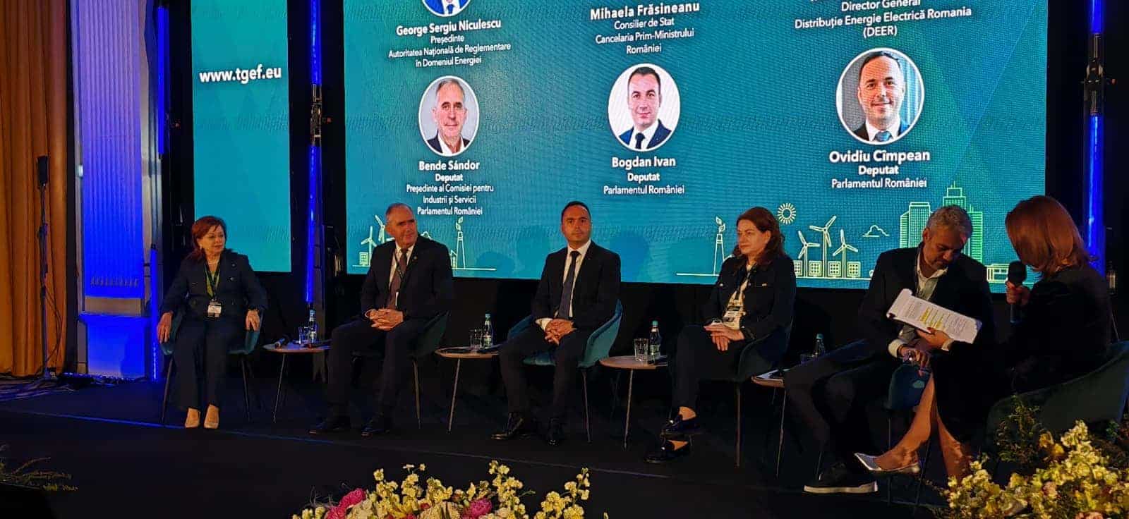 Mihaela Suciu (DEER): Uneori, un megawatt este mai important decât aurul. Trebuie investiții în rețele de distribuție