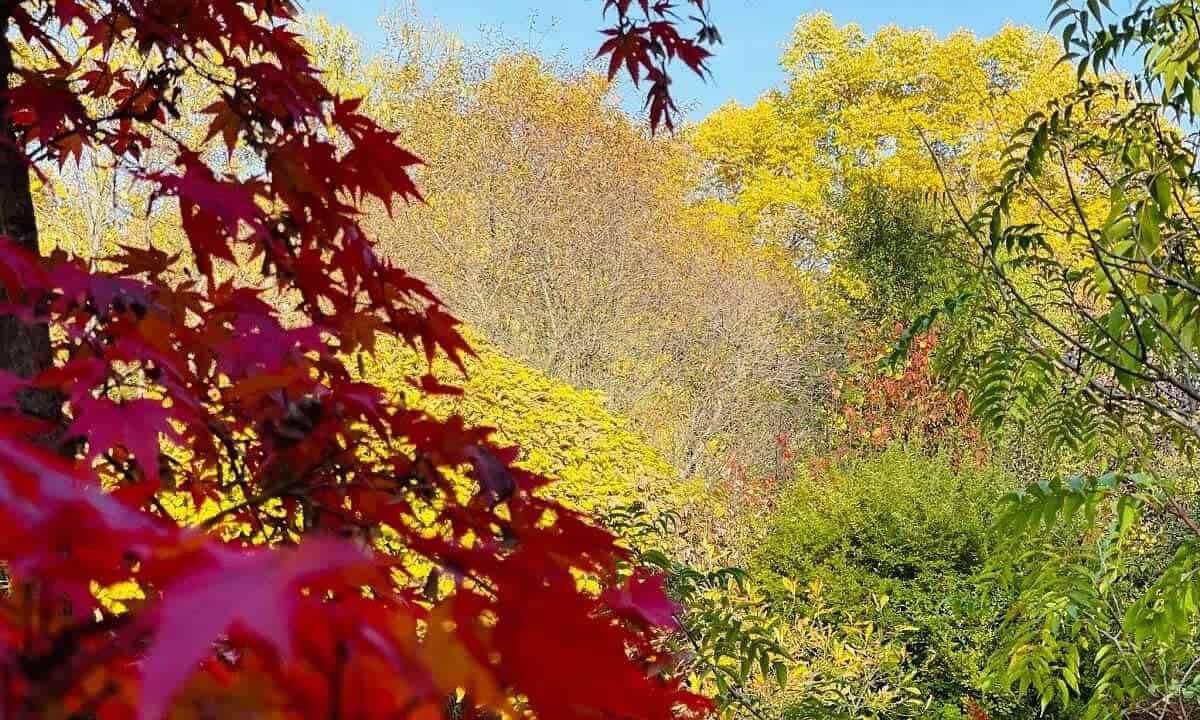 24 mai: Ziua Europeană a Parcurilor Naturale. De ce sunt importante ariile protejate
